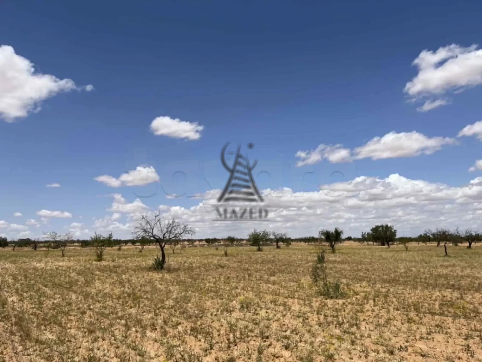 Terrain agricole · Route Manzel Chaker km 18