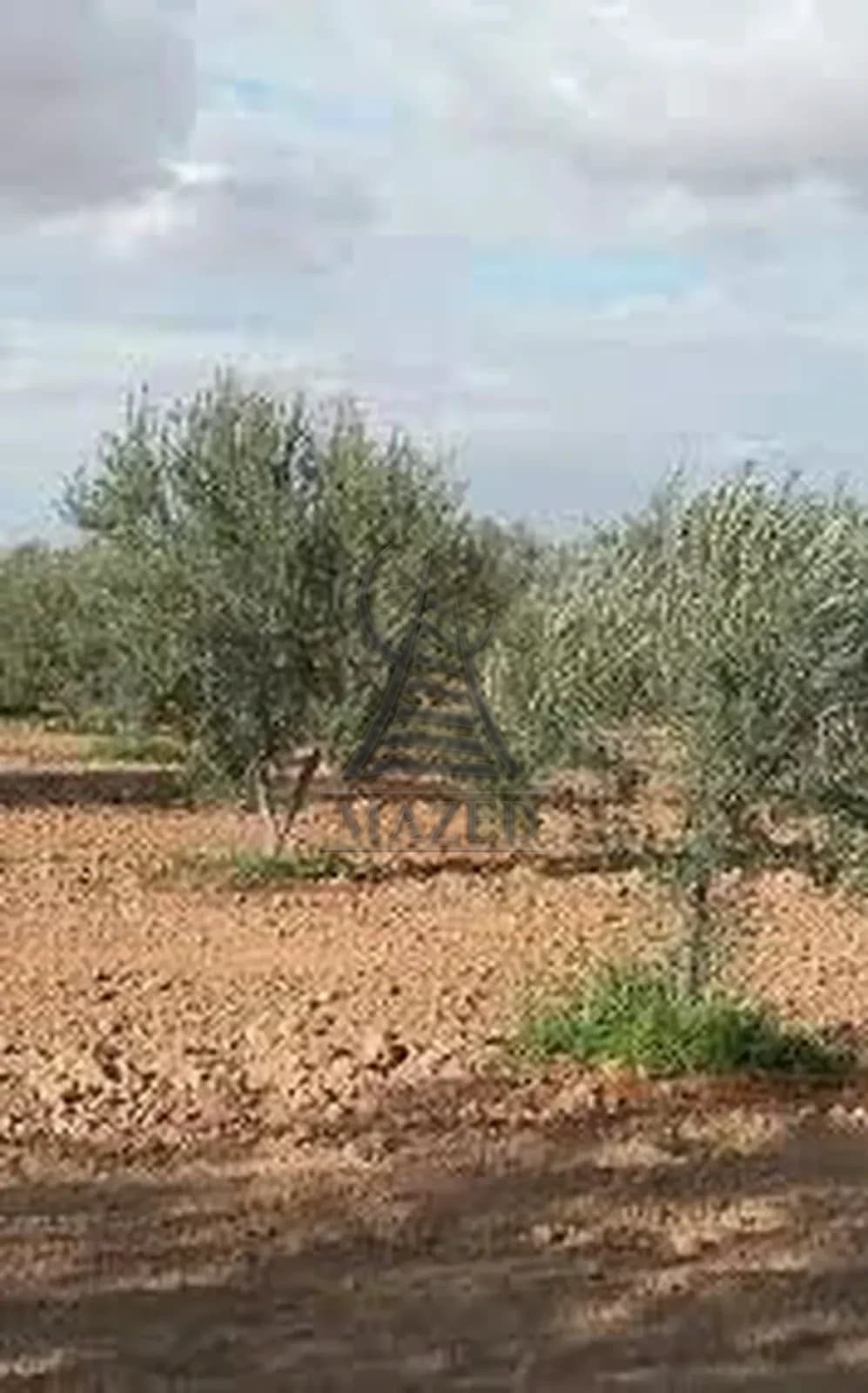 أرض فلاحية · الحنشة